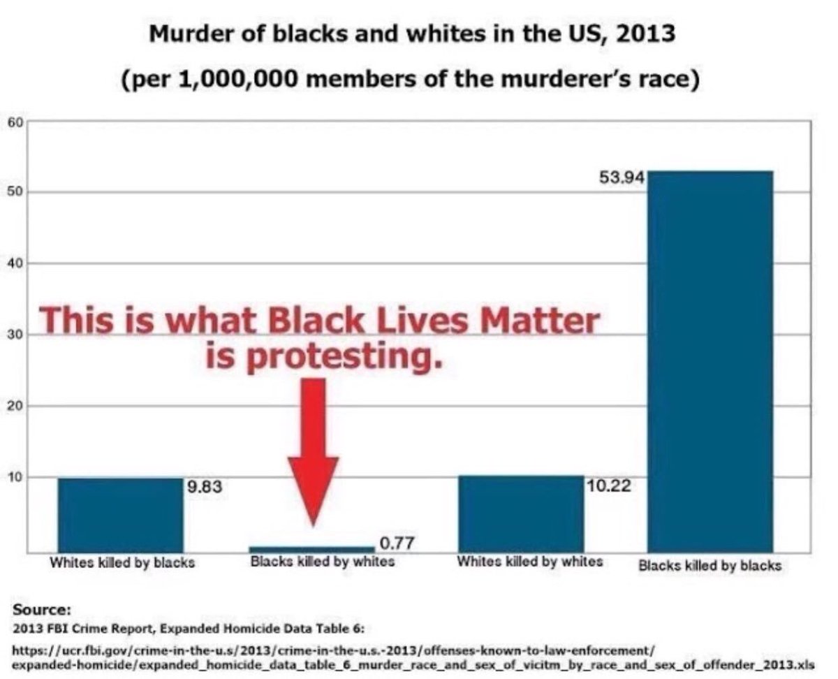 Правда ли, что в США темнокожие убивают белых в 12 раз чаще, чем наоборот?  | Фактчек